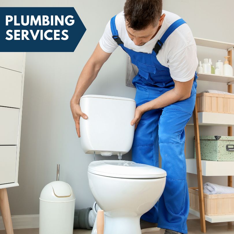 Plumbing Company in Elmira, MI